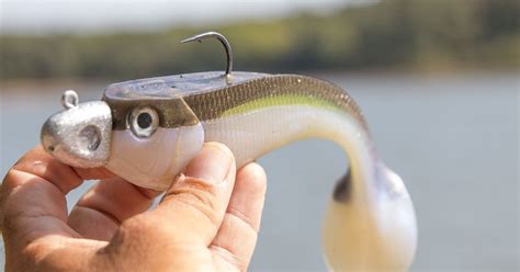 booty bait lures